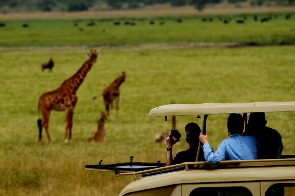 STAYING SAFE ON A SAFARI