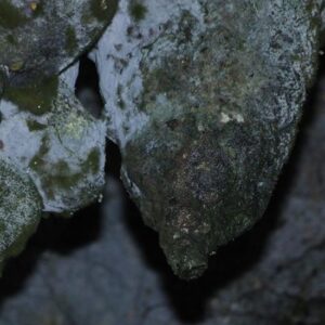 AMABERE GA NYINA MWIRU CAVES