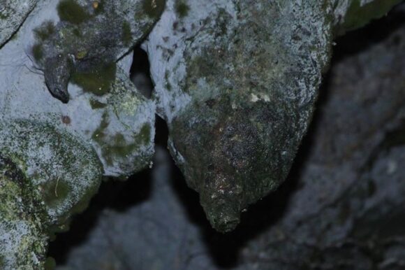 AMABERE GA NYINA MWIRU CAVES