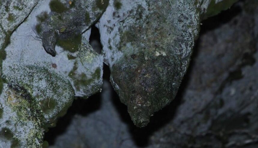 AMABERE GA NYINA MWIRU CAVES