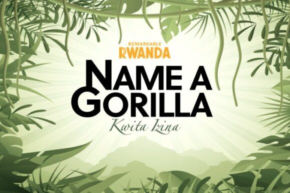 KWITA IZINA: Naming Baby Gorillas