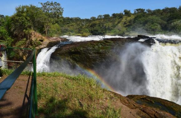 3-Day Murchison Falls Big Five With Chimpanzee Trekking