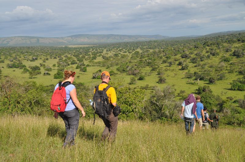 TORO-SEMLIKI GAME RESERVE