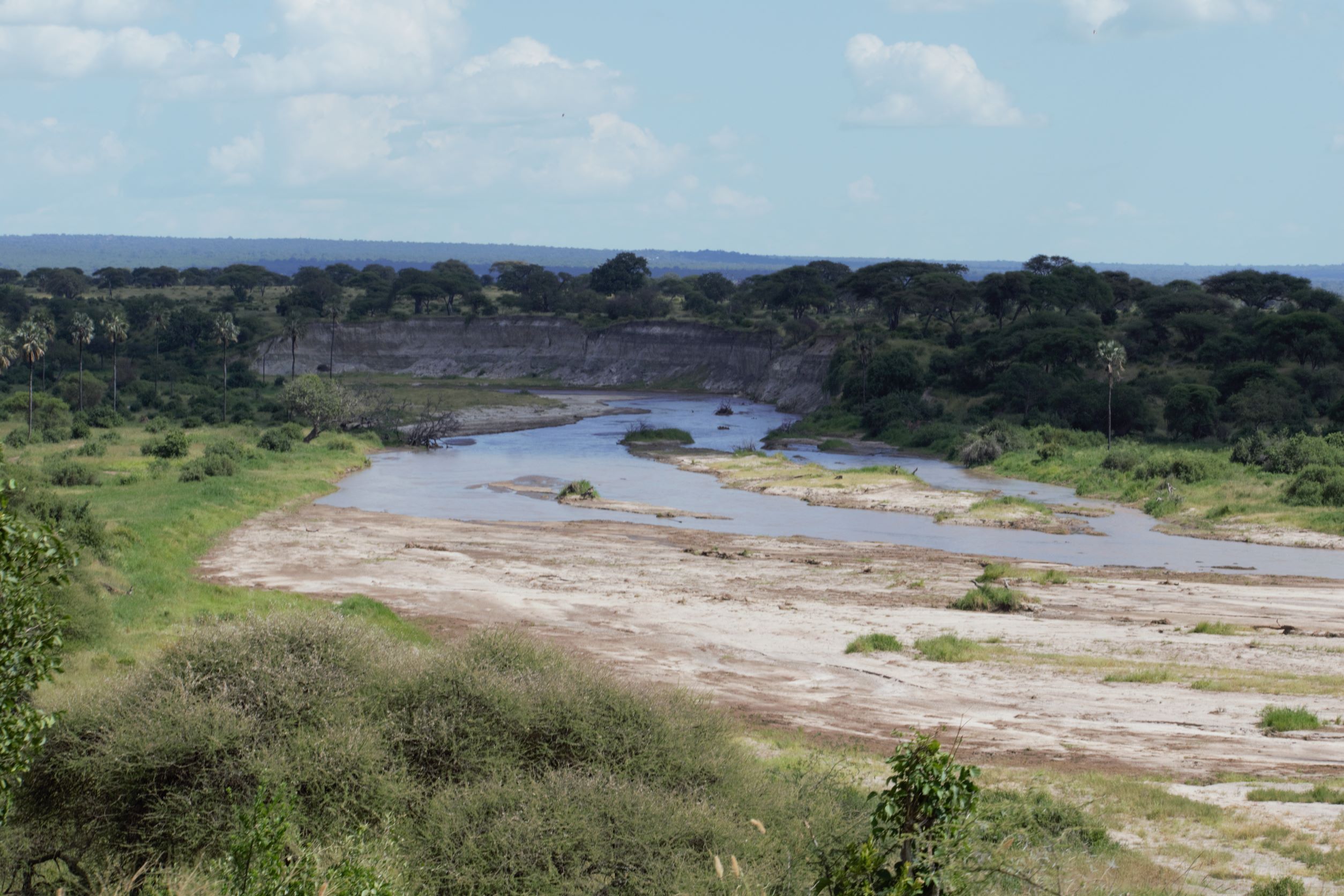 4 Days Ngorongoro and Tarangire Wildlife safari
