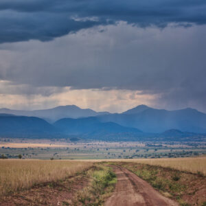 REASONS WHY YOU SHOULD VISIT KIDEPO VALLEY NATIONAL PARK